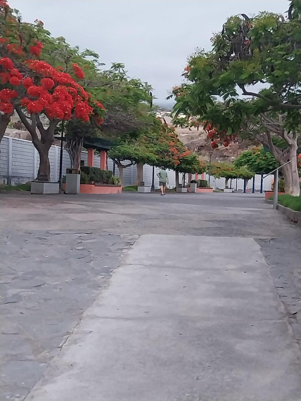 Mi Casita Tenerife Sur Free Wifi E Ac Arona  Exterior foto